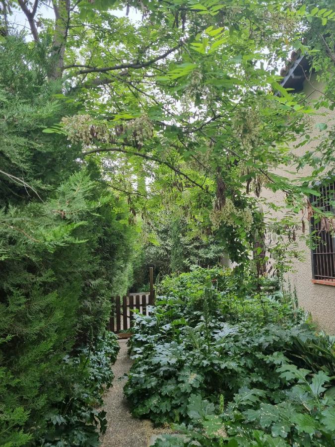 Villa El Correc Laroque-des-Albères 외부 사진