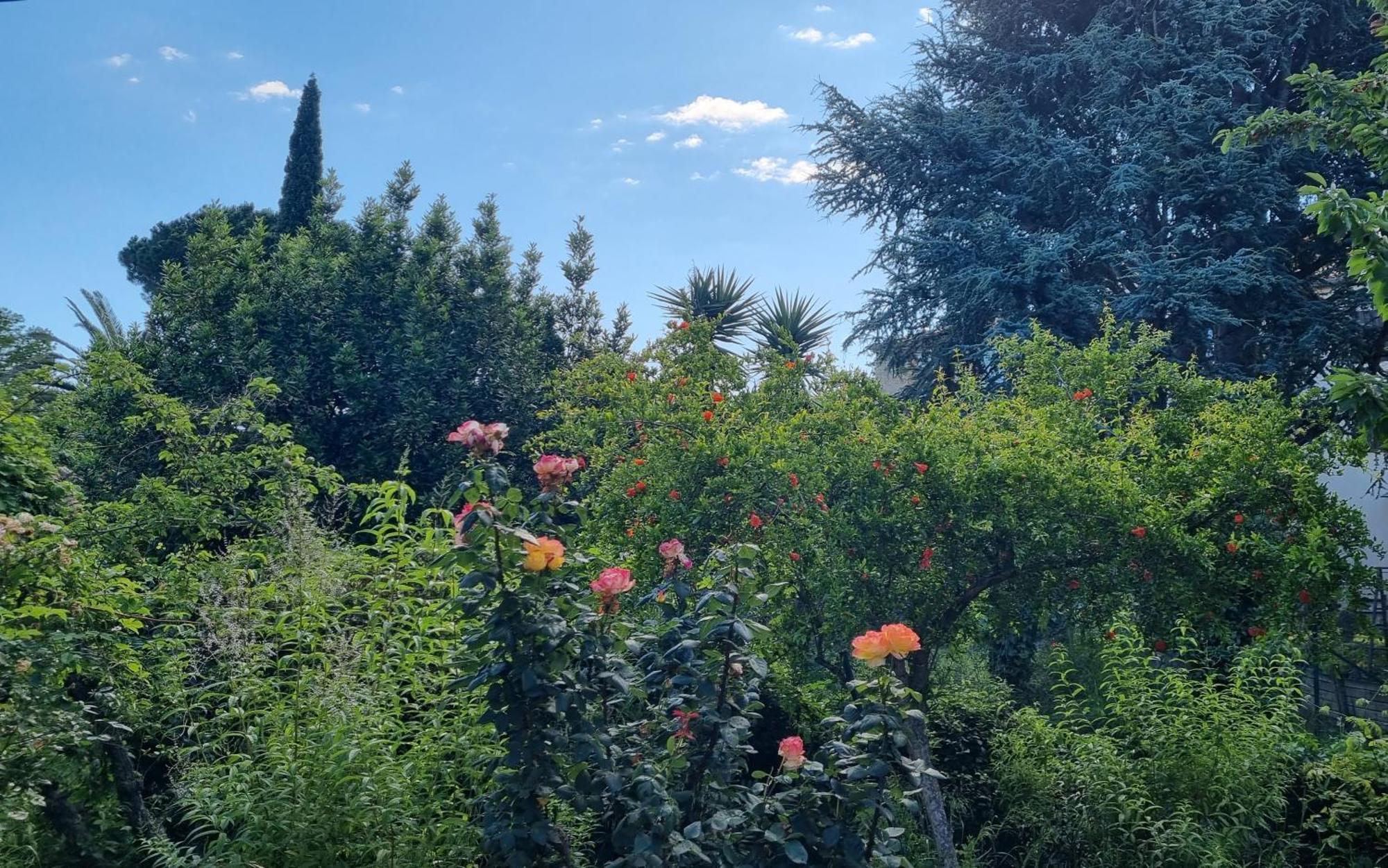 Villa El Correc Laroque-des-Albères 외부 사진
